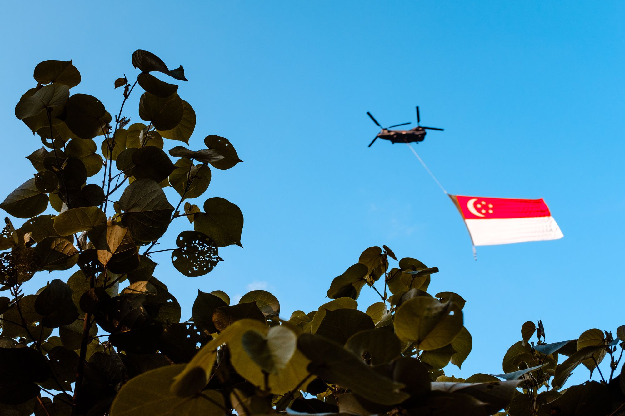 Transforming Public Health in Singapore and Beyond